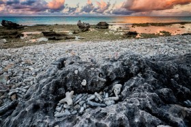 Coral beach at Red Beryl SL9399