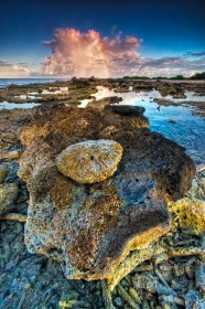 Rugged coral beach with rainbow SL9415