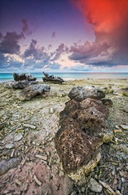 Low tide coral heads SL9416