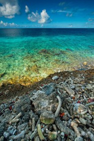 Caribbean sea Gradient of Life SL9424