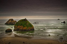 Pacific Ocean sea stacks SL9511 Pacific Ocean sea stacks SL9511