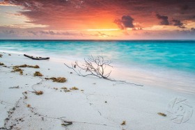 Dawn at Sand Point | Little Cayman SL9586 Dawn at Sand Point | Little Cayman SL9586