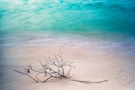 Washed ashore SL9619