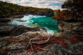 Bruce Peninsula cliffs with Northern White Cedars SL9684 Bruce Peninsula cliffs with Northern White Cedars SL9684