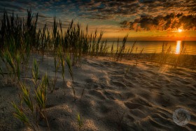 Lake Huron dune grass at dawn SL9767 Lake Huron dune grass at dawn SL9767