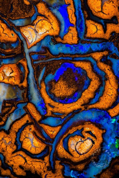 Blue Fire Koroit Boulder Opal RO10048