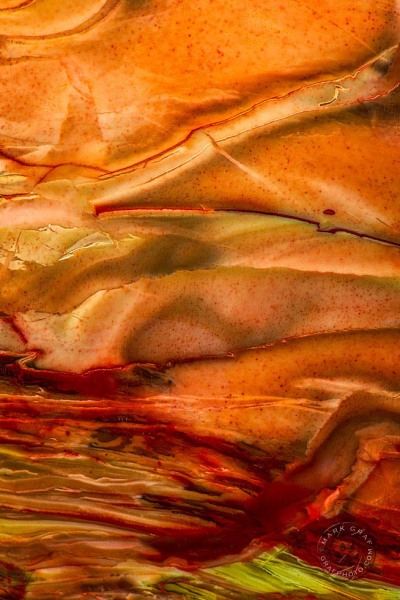"Martian River" -Morrisonite Abstract RO10394