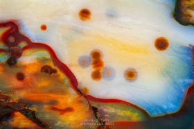 Polka Dot Agate Worlds RO10615 Polka Dot Agate Worlds RO10615