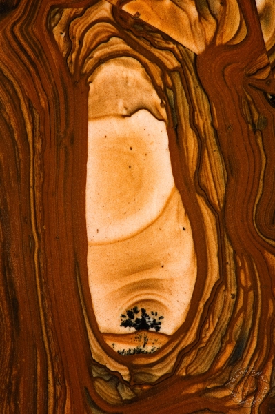 Royal Sahara Jasper RO8957