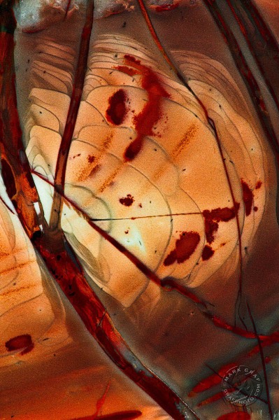 Heart of the stone RO9354