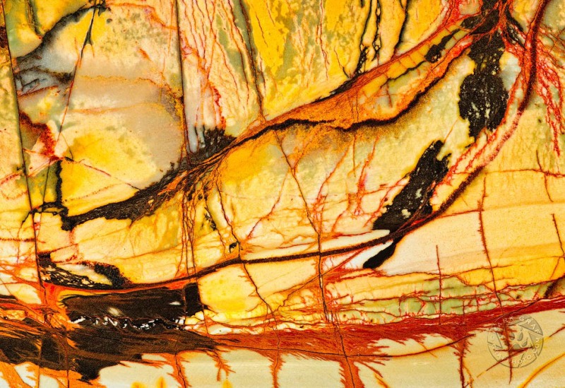 Cherry Creek Jasper; tribute to Pollack RO9487