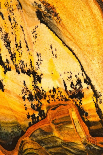 Devil's Tower RO9488