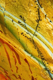 Kaleidoscope Jasper with Dendrites RO9905 Kaleidoscope Jasper with Dendrites RO9905