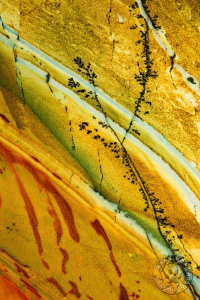 Kaleidoscope Jasper with Dendrites RO9905