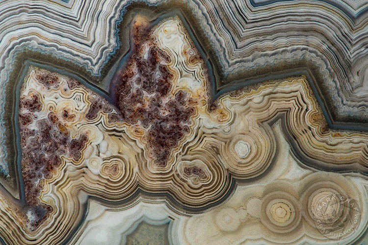 Laguna Lace Agate RO9948