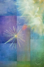 Dandelion Seed Mosaic FL10020