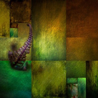 Fern Mosaic PL10050 Fern Mosaic PL10050