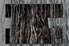 Positive Trees / Negative Trees TR9525-2