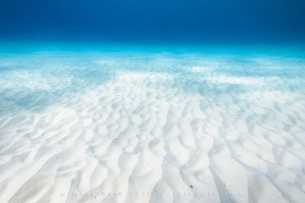 Bonaire White Sands WA10821 Bonaire White Sands WA10821