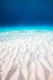 Bonaire underwater white sand WA9397 Bonaire underwater white sand WA9397
