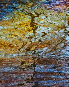 FLOW No. 5 (WA10858) FLOW No. 5 (WA10858)