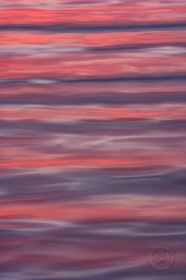 Reflections of Twilight WA8185 Reflections of Twilight WA8185