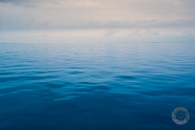 Tranquil morning on Lake St. Clair WA9750 Tranquil morning on Lake St. Clair WA9750