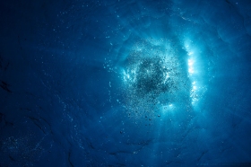 WA9916-underwater WA9916-underwater