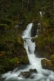Whittier Creek Falls WA10896 Whittier Creek Falls WA10896