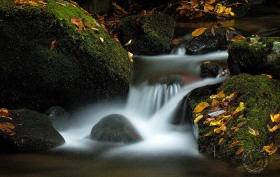 Roaring Fork cascade segment WA8036 Roaring Fork cascade segment WA8036