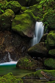 Tropical Emerald Pool WA8108 Tropical Emerald Pool WA8108
