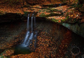 Blue Hen Falls WA8686 Blue Hen Falls WA8686
