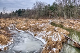 Pine River Winter Scenic WI10364