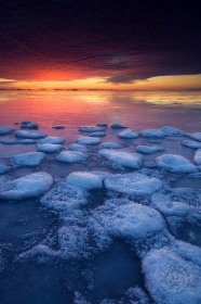 Ice Pancake Sunrise WI8704