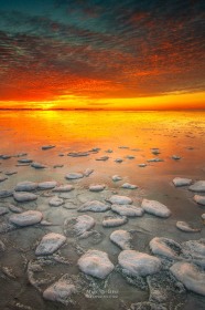 Ice pancakes at sunrise WI8709-3
