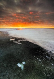 Fire and Ice WI9380