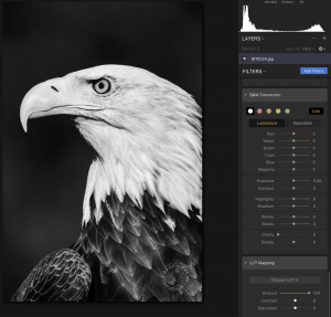 black and white conversion software