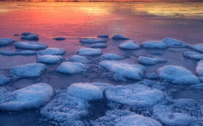 Winter twilight