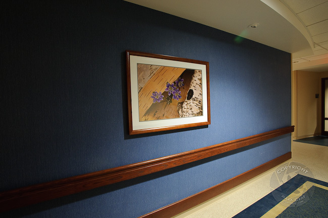 nature wall art for hospitals