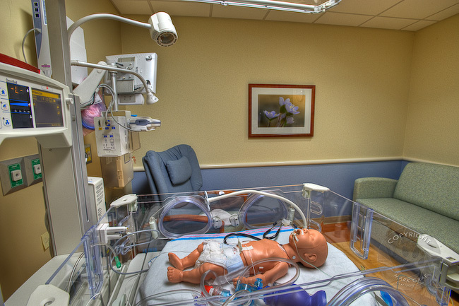 nature art for maternity rooms and newborn care in hospitals
