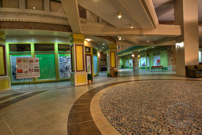 Mainstreet area of main entrance