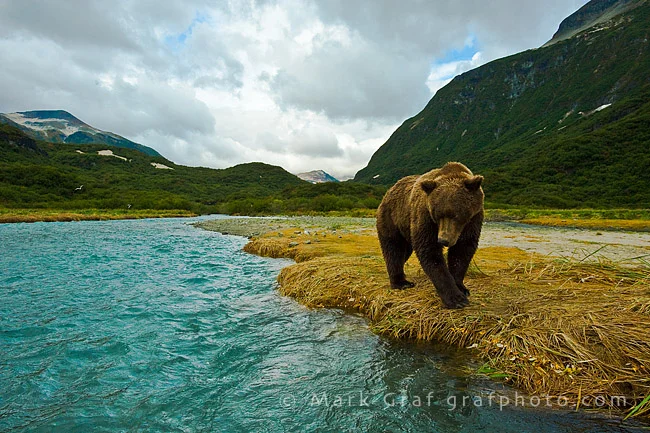 Return from Alaska
