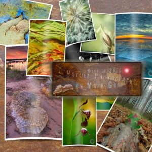 Favorite nature pictures 2010