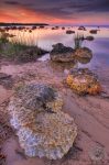 limestone picture