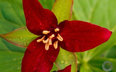 Does Provenance matter?