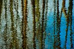pond ripple photo