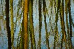 water reflection photo