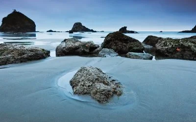 Right place at the right tide