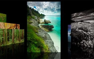 Top Nature Photographs of 2011