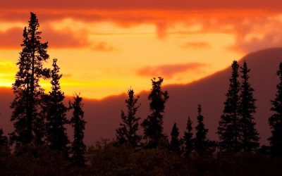 Tangerine Tango sky